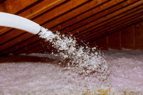 Best Local Insulation Services  in Grosse Pointe, MI