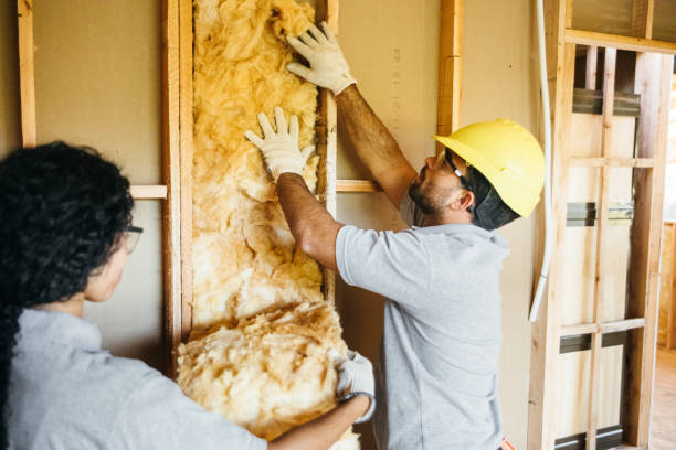 Best Home Insulation Services  in Grosse Pointe, MI