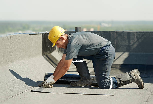 Best Affordable Insulation Services  in Grosse Pointe, MI