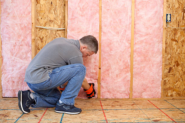 Best Cellulose Insulation  in Grosse Pointe, MI