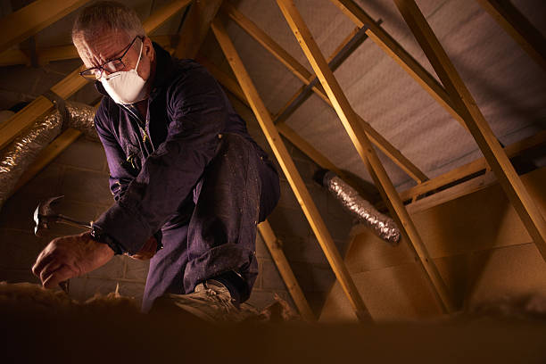 Best Cellulose Insulation  in Grosse Pointe, MI